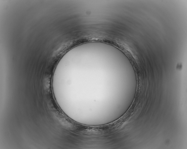X0000090720545200707201016