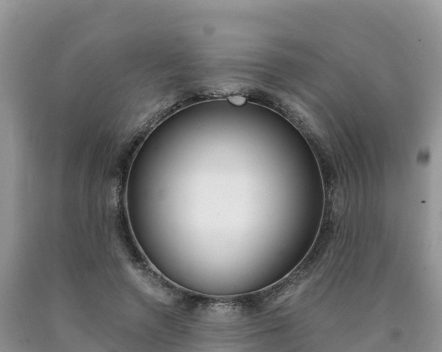 X0000090720546200707201016