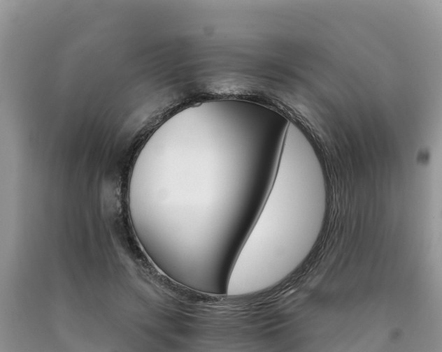 X0000090720547200707201016