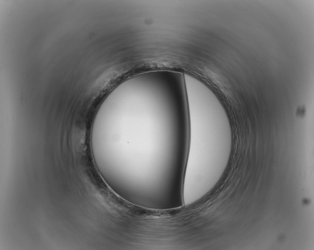 X0000090720548200707201016