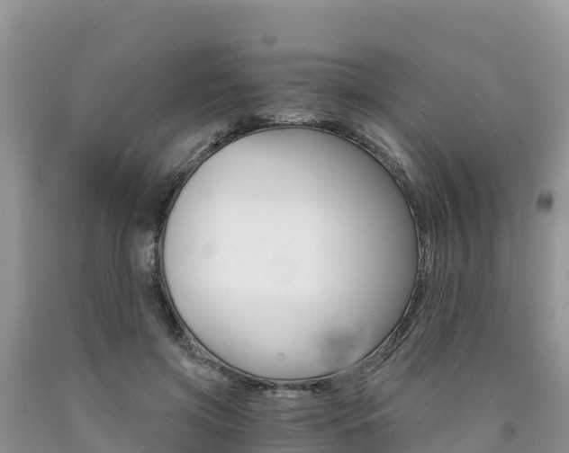 X0000090720549200707201016