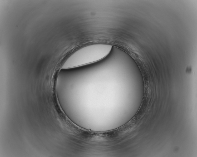 X0000090720550200707201016
