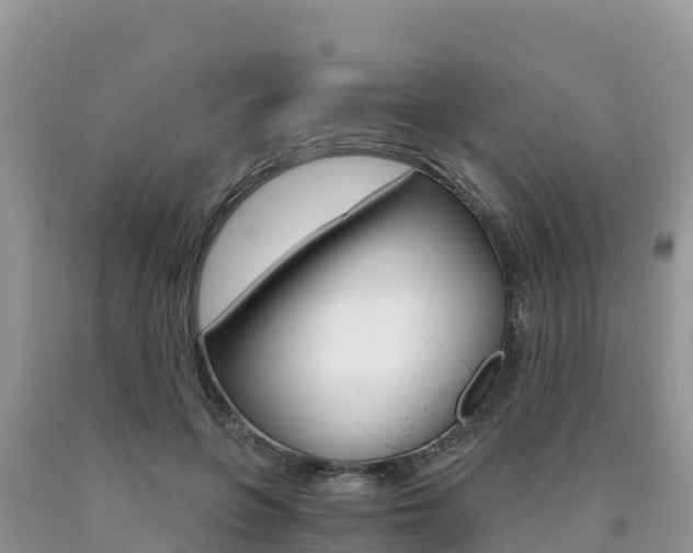 X0000090720551200707201016