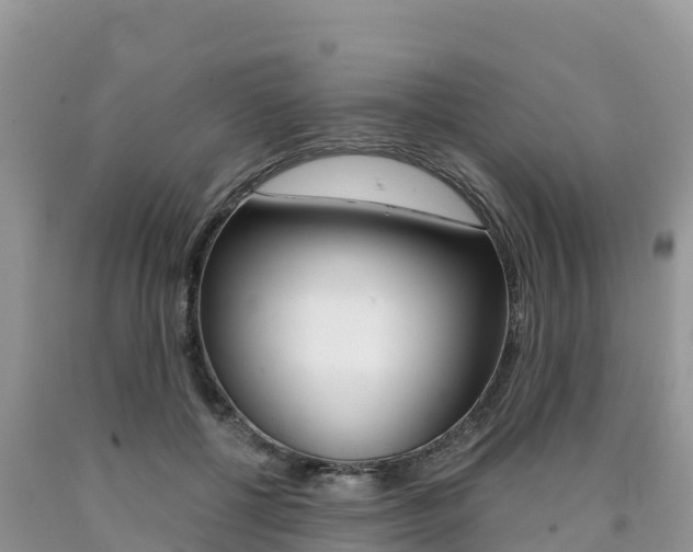 X0000090720552200707201016