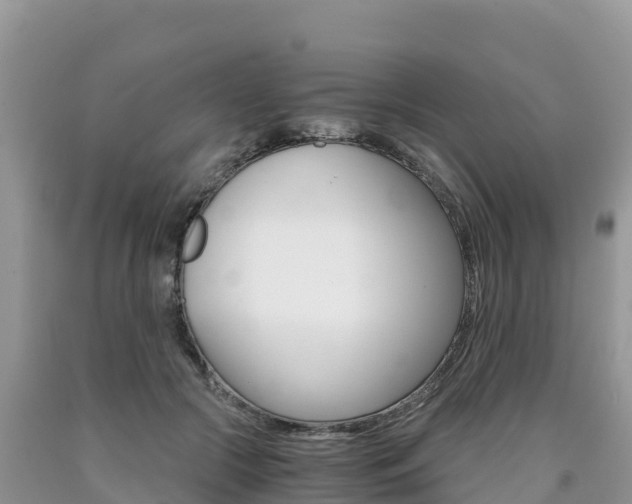 X0000090720553200707201016