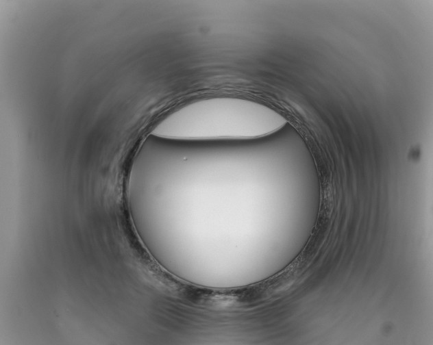 X0000090720554200707201016