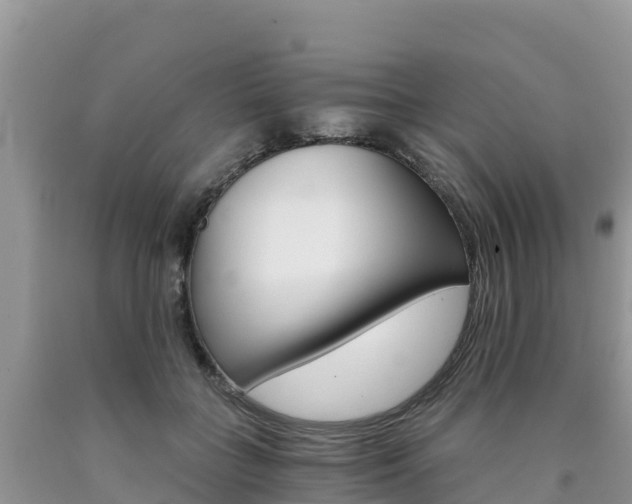 X0000090720555200707201016