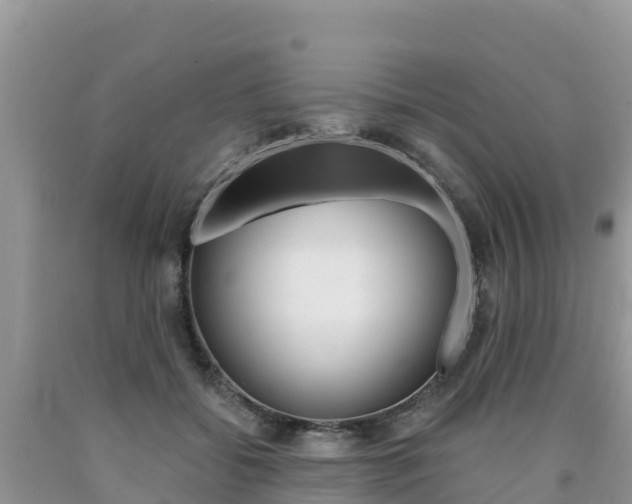 X0000090720556200707201016