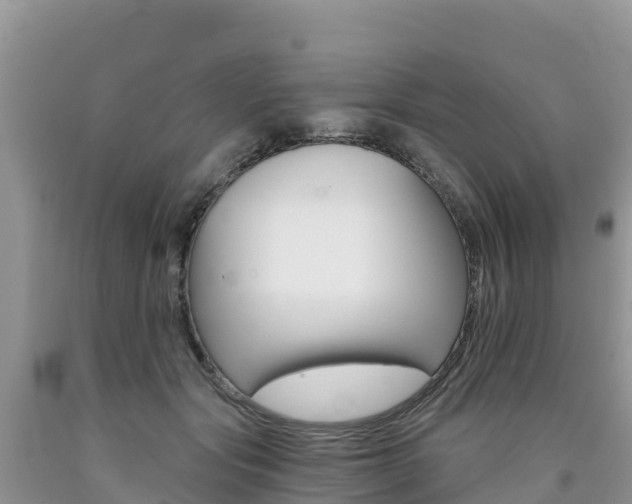 X0000090720557200707201016