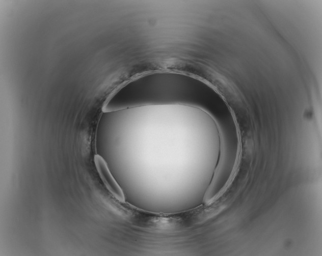 X0000090720558200707201016