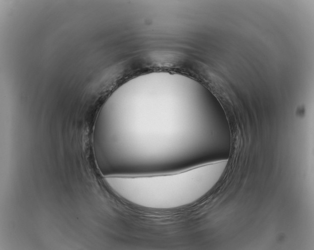 X0000090720559200707201016