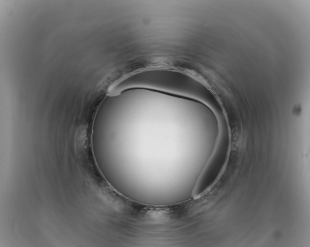 X0000090720560200707201016