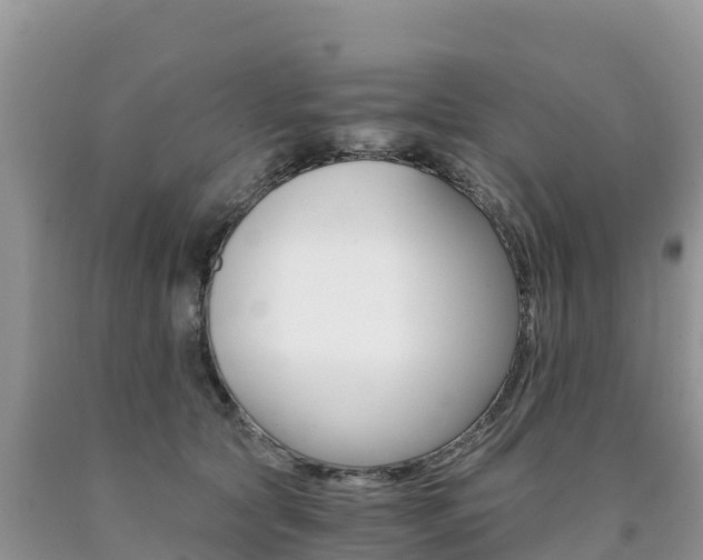 X0000090720561200707201016