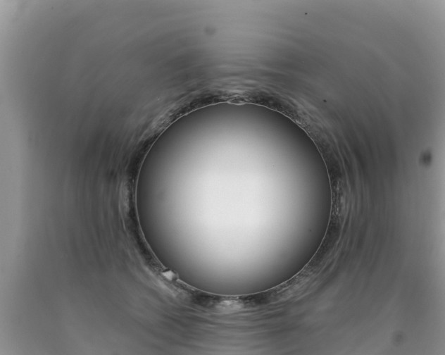 X0000090720562200707201016