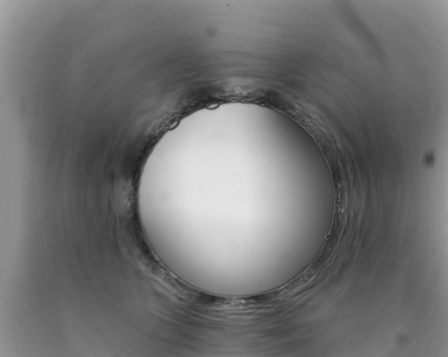 X0000090720563200707201016