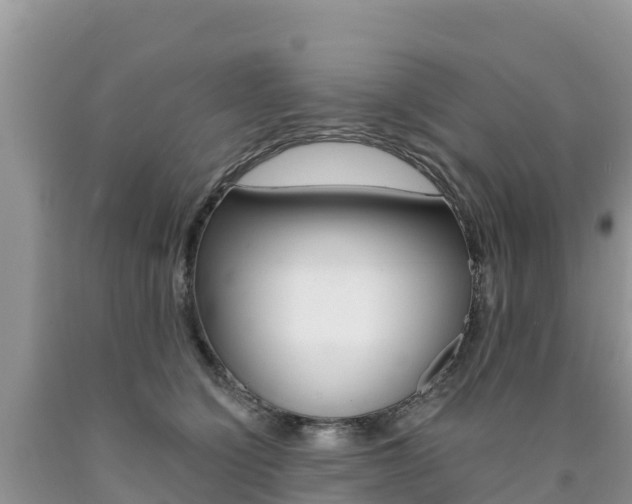 X0000090720564200707201016