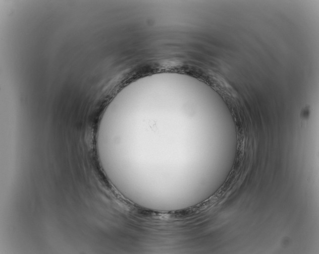 X0000090720565200707201016