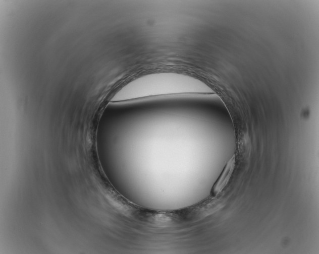 X0000090720566200707201016