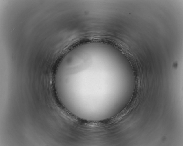X0000090720567200707201016