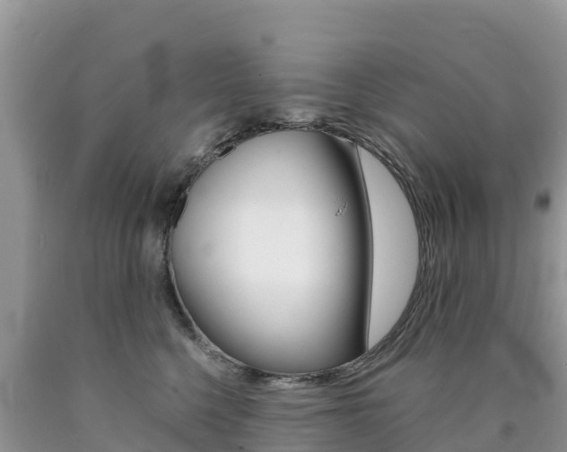 X0000090720568200707201016