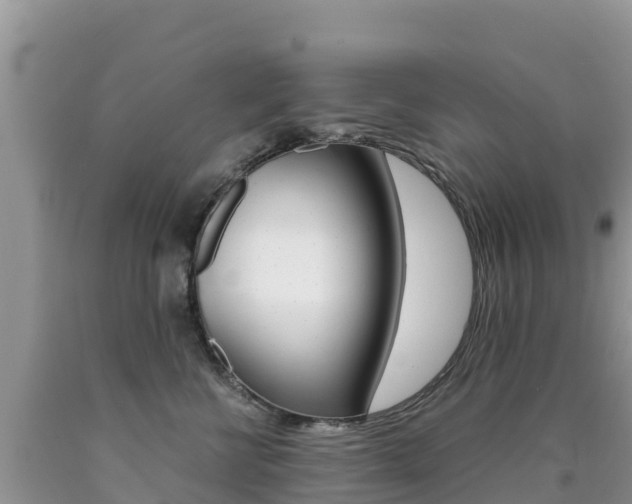 X0000090720570200707201016