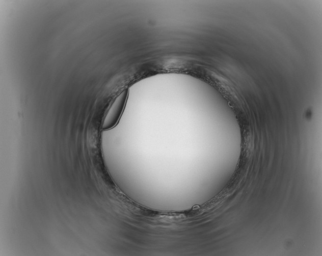 X0000090720571200707201016
