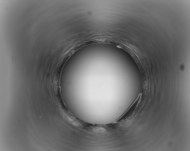 X0000090720572200707201016
