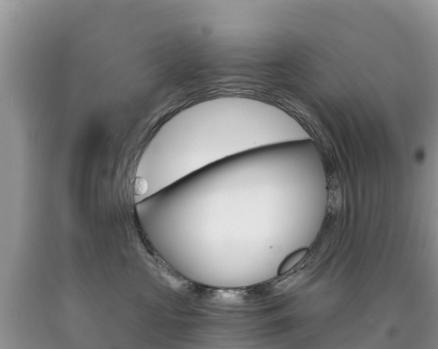 X0000090720573200707201016