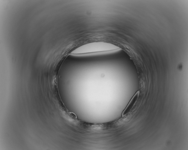 X0000090720574200707201016