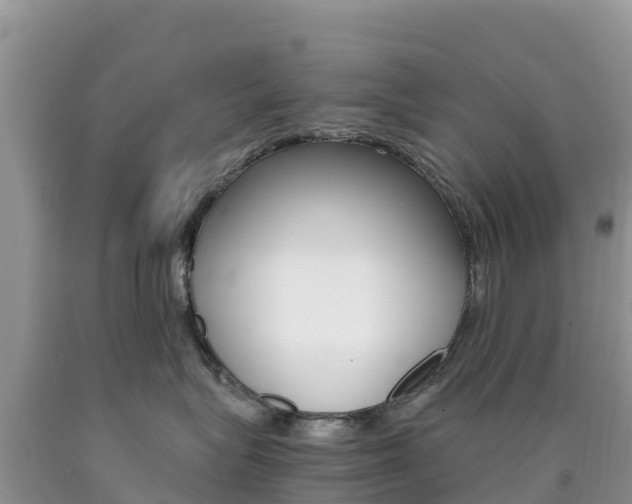 X0000090720575200707201016