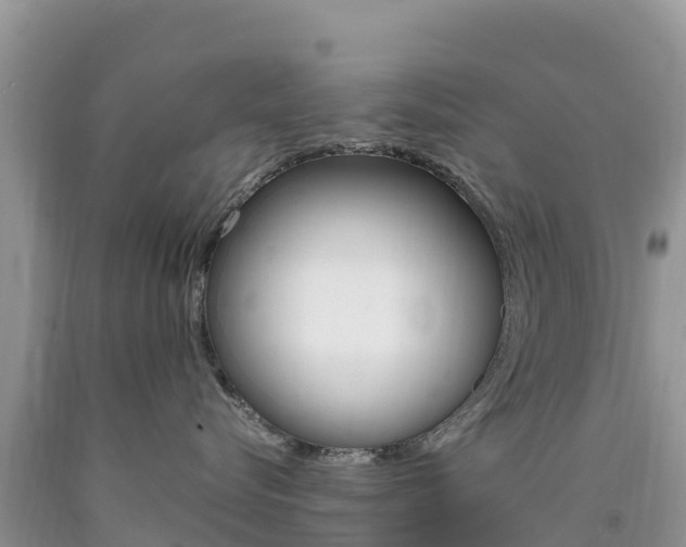 X0000090720576200707201016