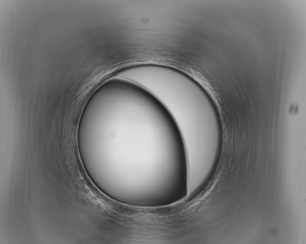 X0000090720577200707201016