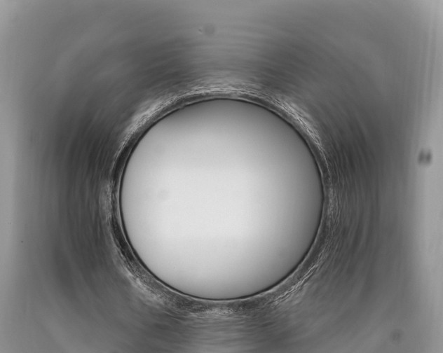 X0000090720578200707201016
