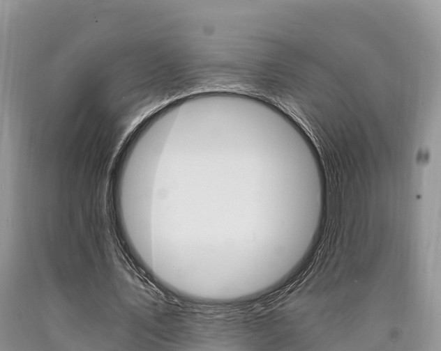 X0000090720579200707201016