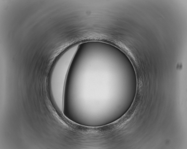 X0000090720581200707201015