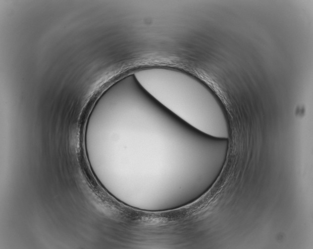 X0000090720582200707201015