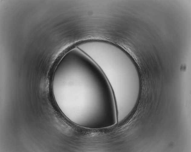 X0000090720584200707201015