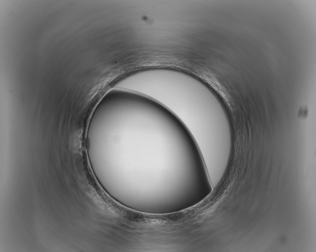X0000090720585200707201015