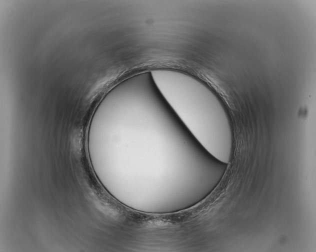 X0000090720586200707201015