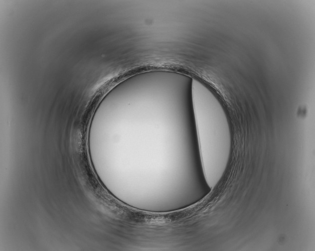 X0000090720587200707201015