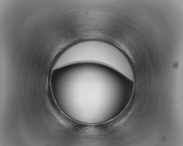 X0000090720589200707201015