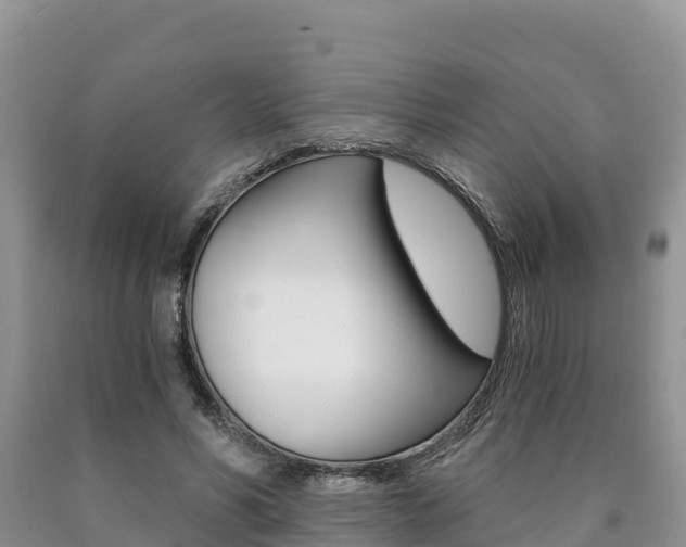 X0000090720590200707201015