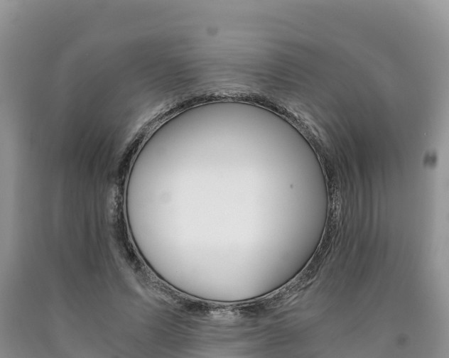 X0000090720591200707201015