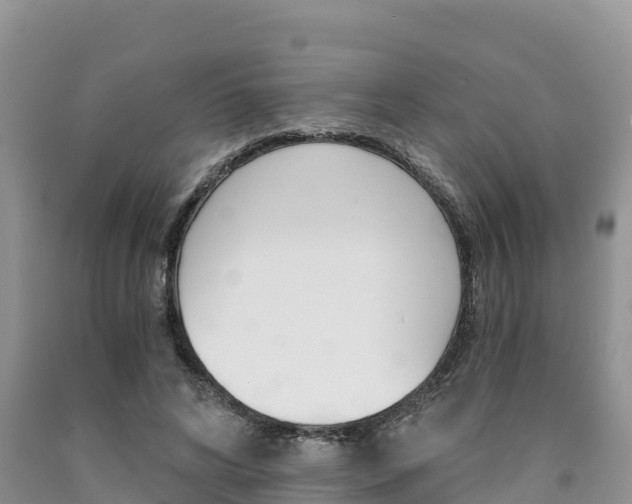 X0000090720592200707201015