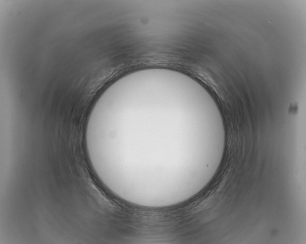 X0000090720593200707201015