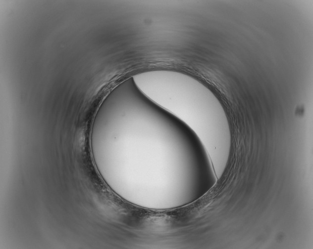 X0000090720595200707201015