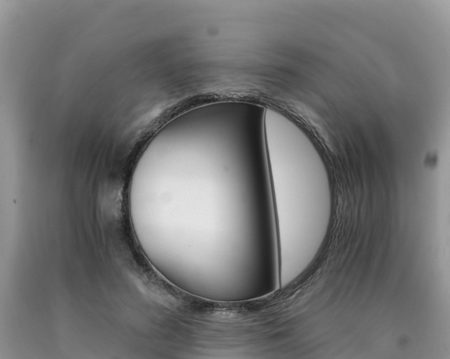 X0000090720596200707201015