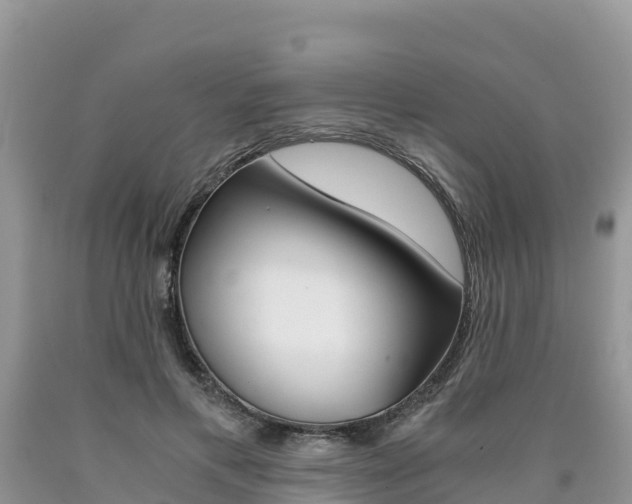 X0000090720597200707201015