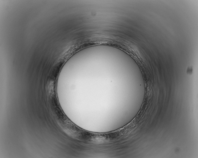 X0000090720598200707201015