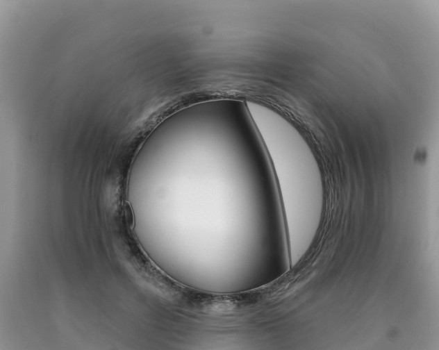 X0000090720600200707201015